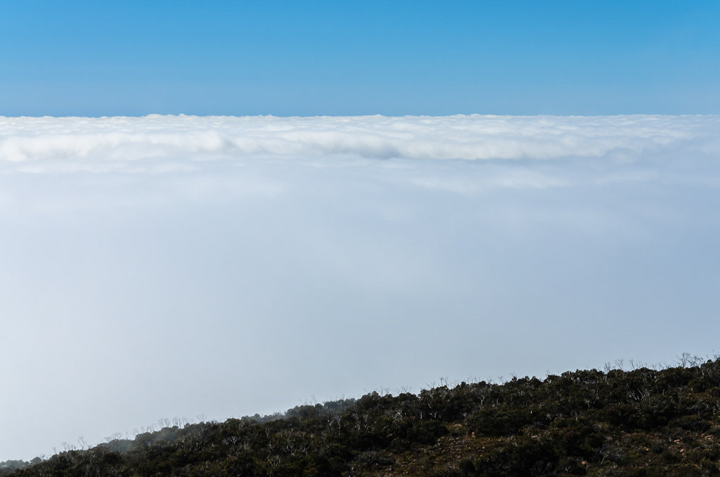 cloud-layer-near-mount-william-summit