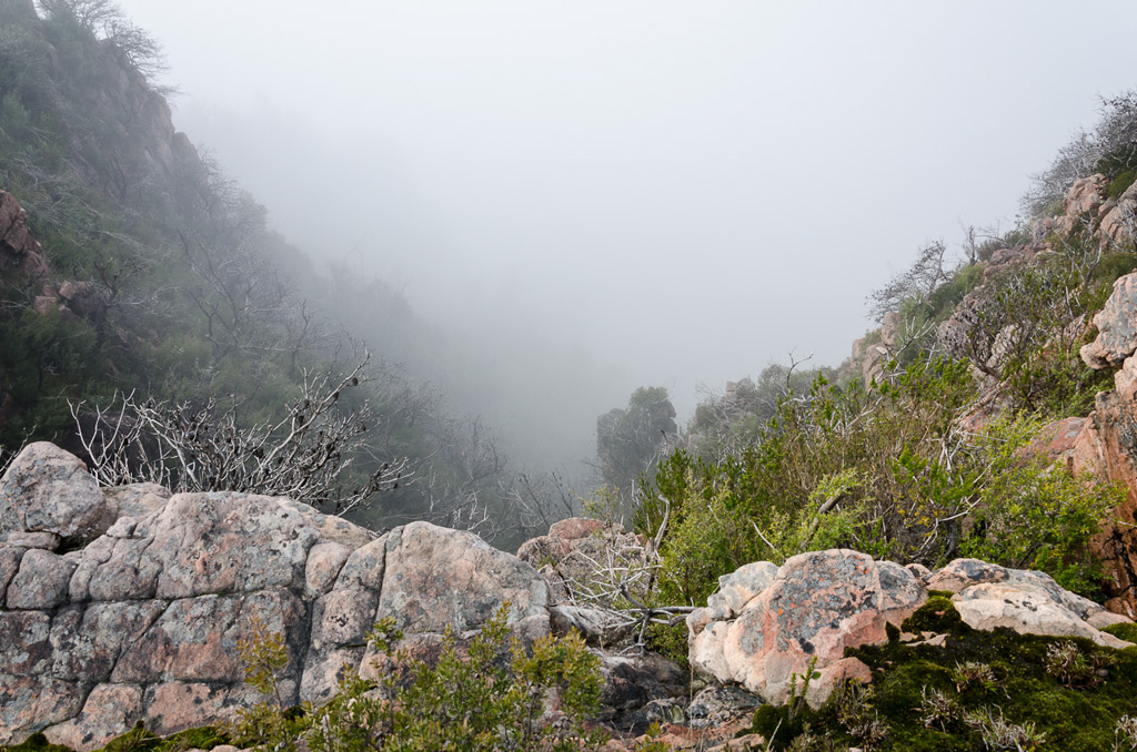 mist-in-valley