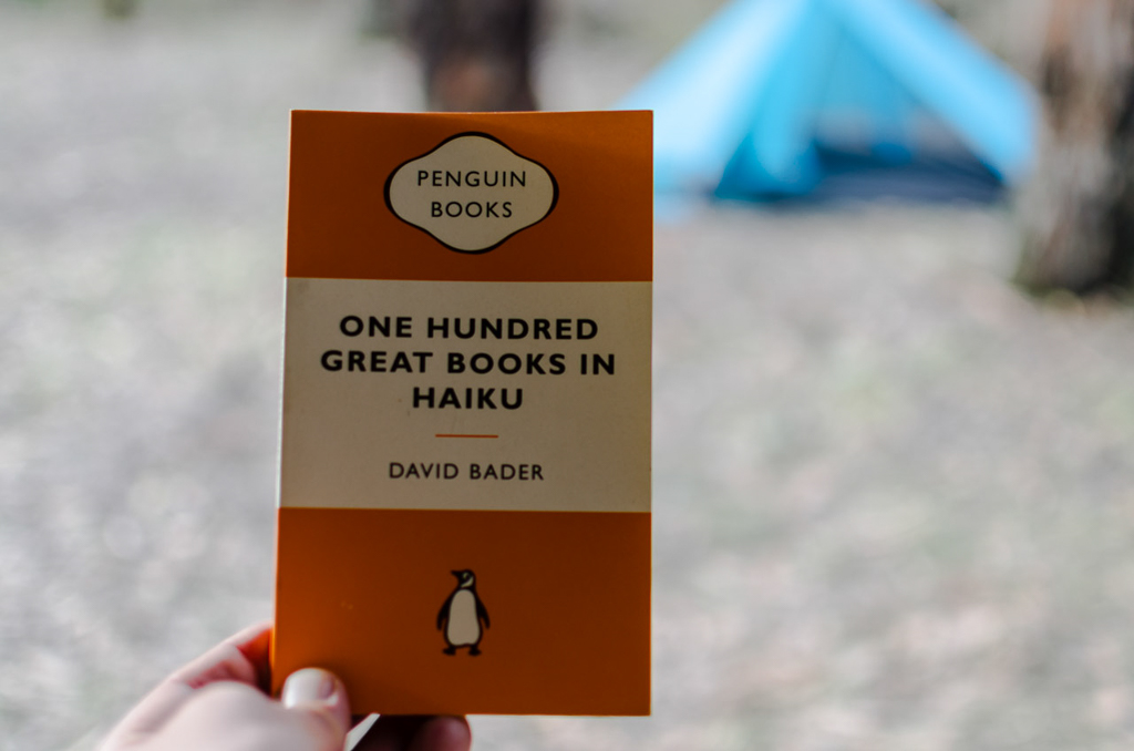 one-hundred-great-books-haiku-david-bader