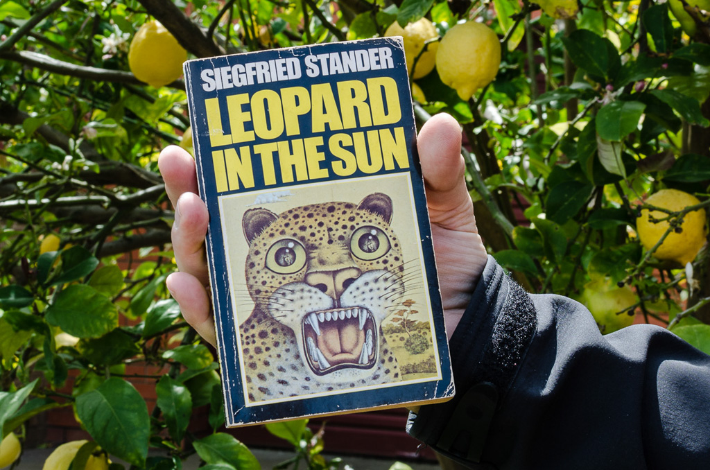 leopard-in-the-sun-siegfried-stander