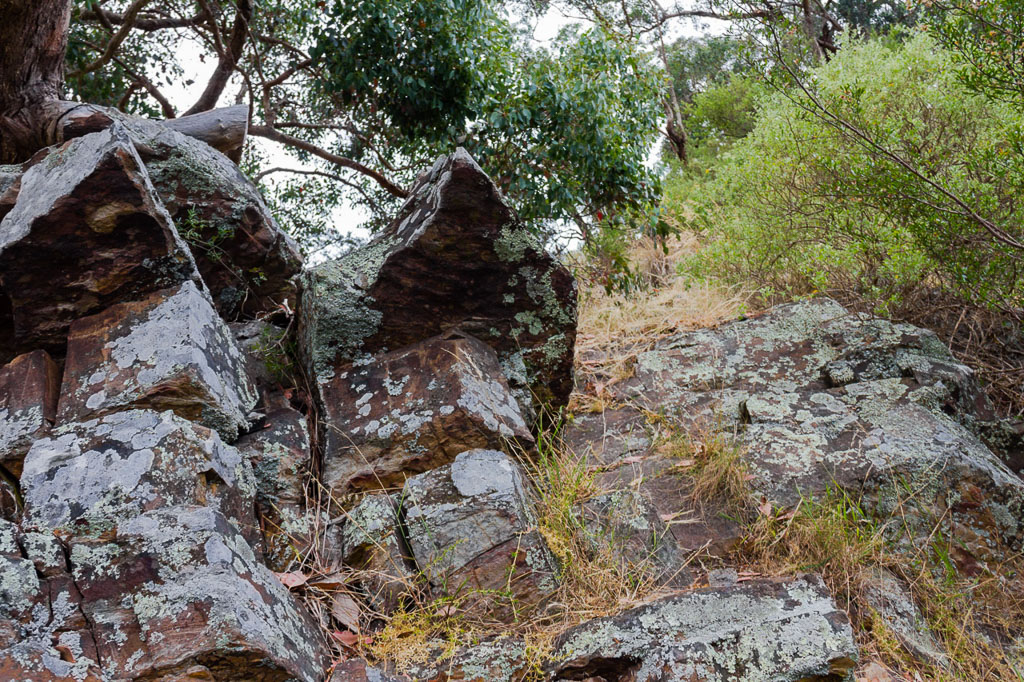 climbing-falcons-spur-werribee-gorge