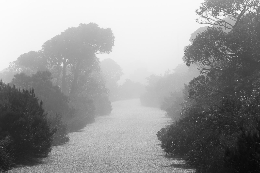 low-cloud-road-to-mount-william