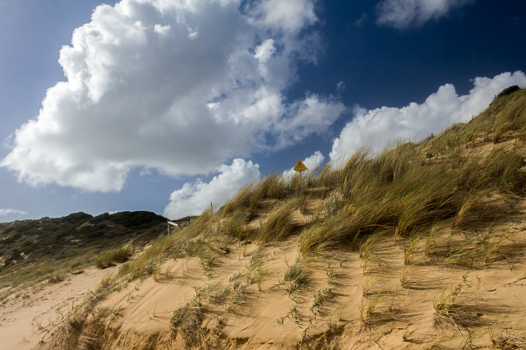sand-dune-grass-sandy-waterhole