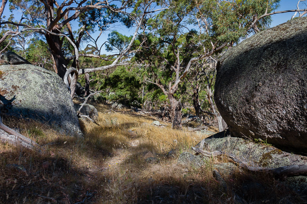 boulders-on-manna-gum-track-mount-beckworth