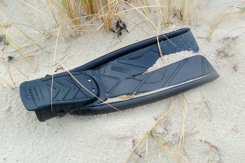 flipper-lying-on-beach