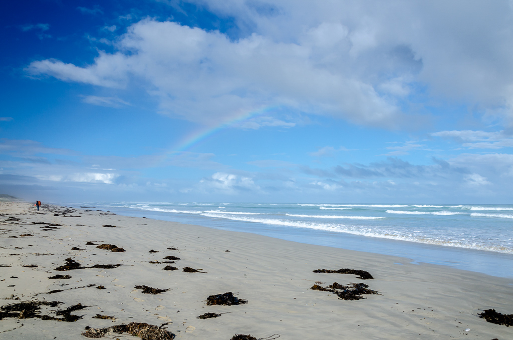 rainbow-above-beach