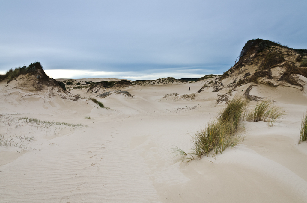 sand-dunes-near-swan-lake