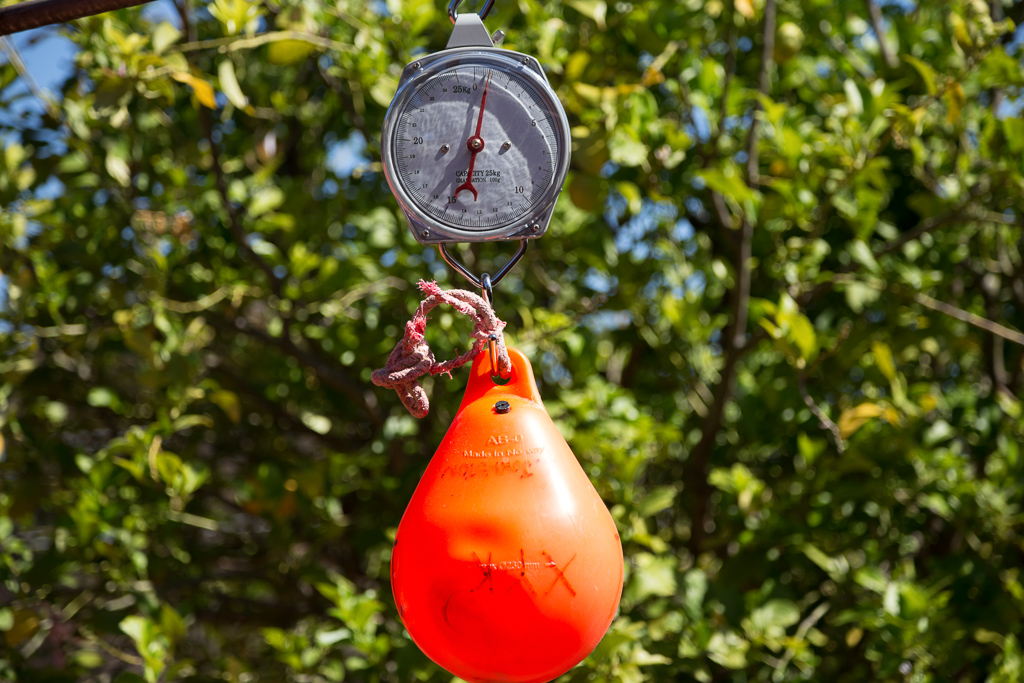 weighing-flotation-buoy