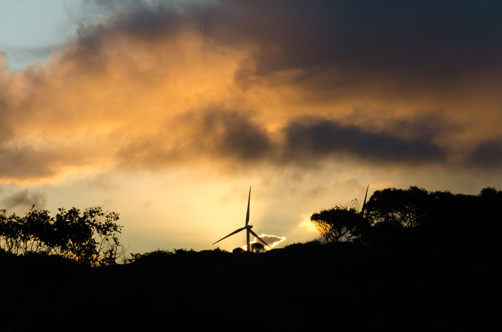 wind-turbine-sunset