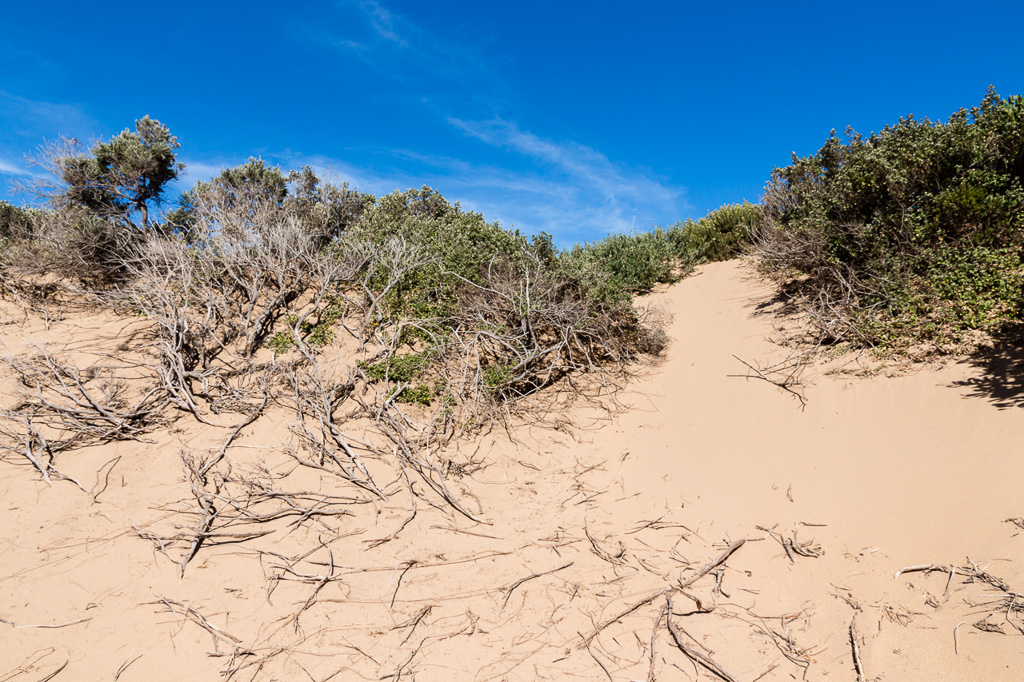 sand-dune-cape-liptrap-coastal-park