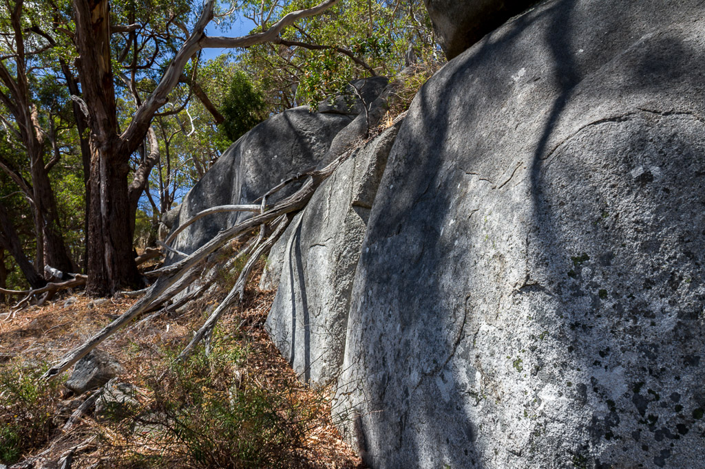 boulder-west-ridge-track