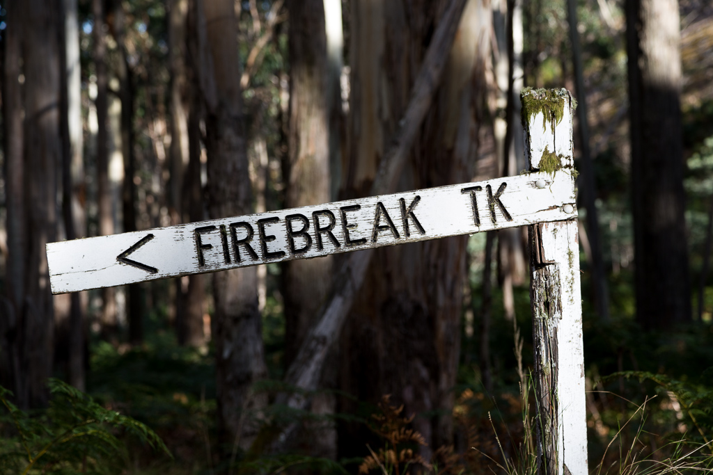 firebreak-track-sign