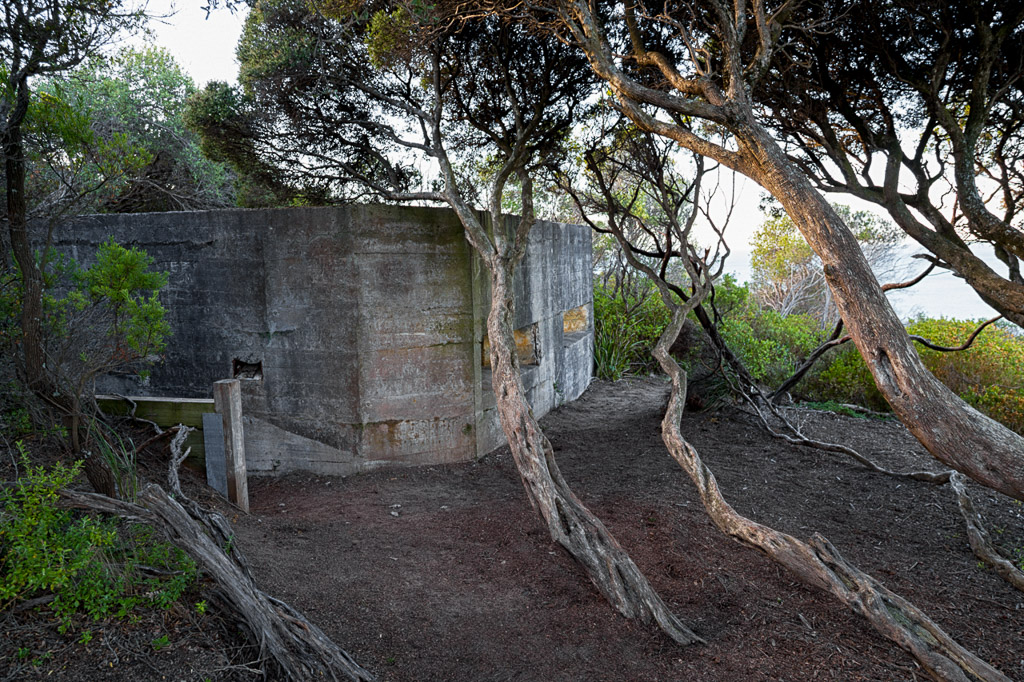 bunker-within-trees-point-nepean