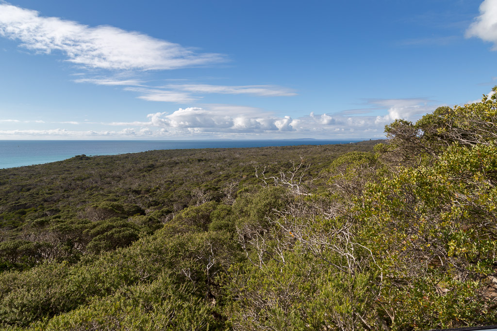 point-nepean-bushland-from-cheviot-hill
