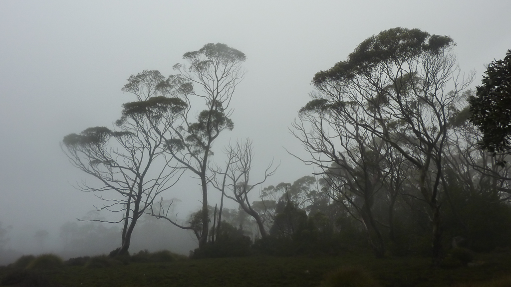 rain-mist-near-windermere-hut-overland-track