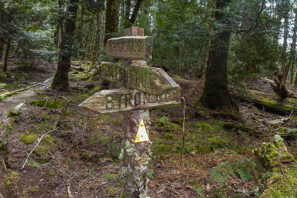 moss-covered-signposts-overland-track
