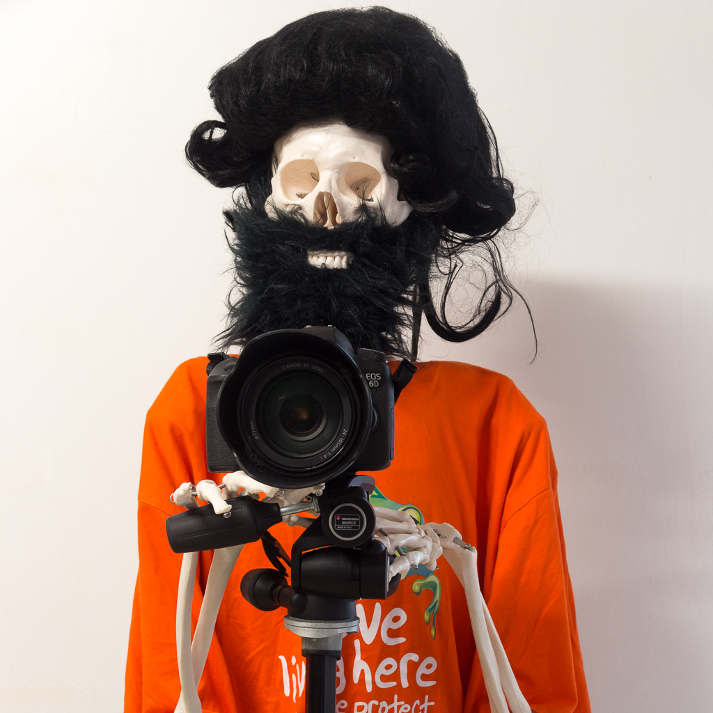 skeleton-using-a-camera