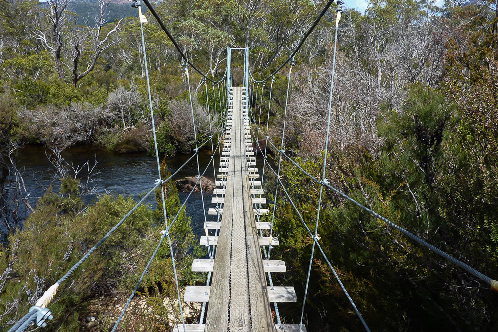 suspension-bridge-over-narcissus-river