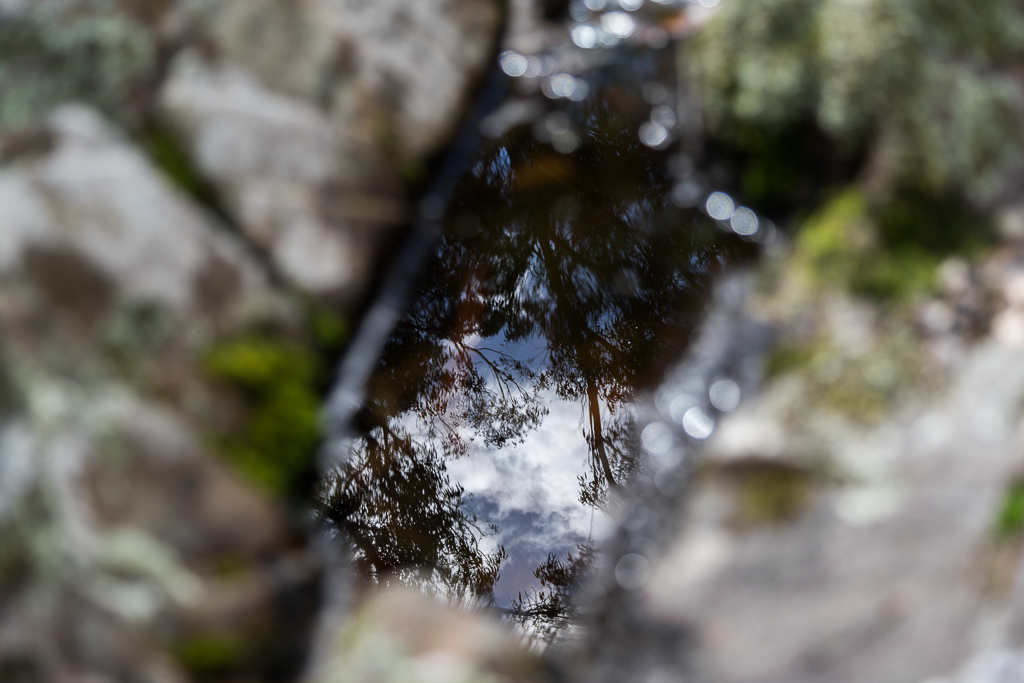 reflection-in-small-rock-pool