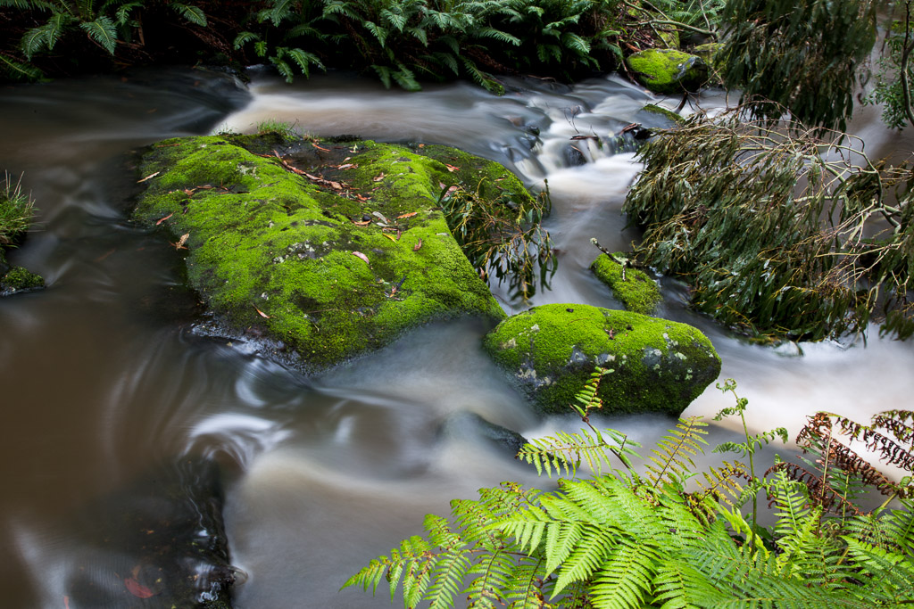 water-around-rocks-sheoak-creek