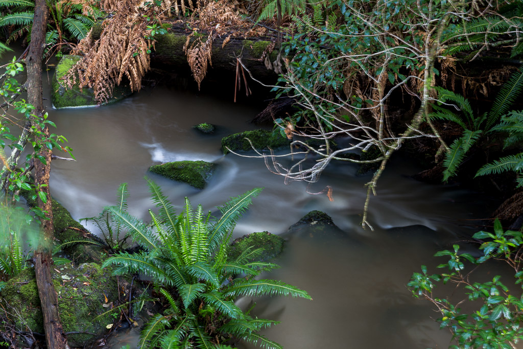 water-flowing-sheoak-creek