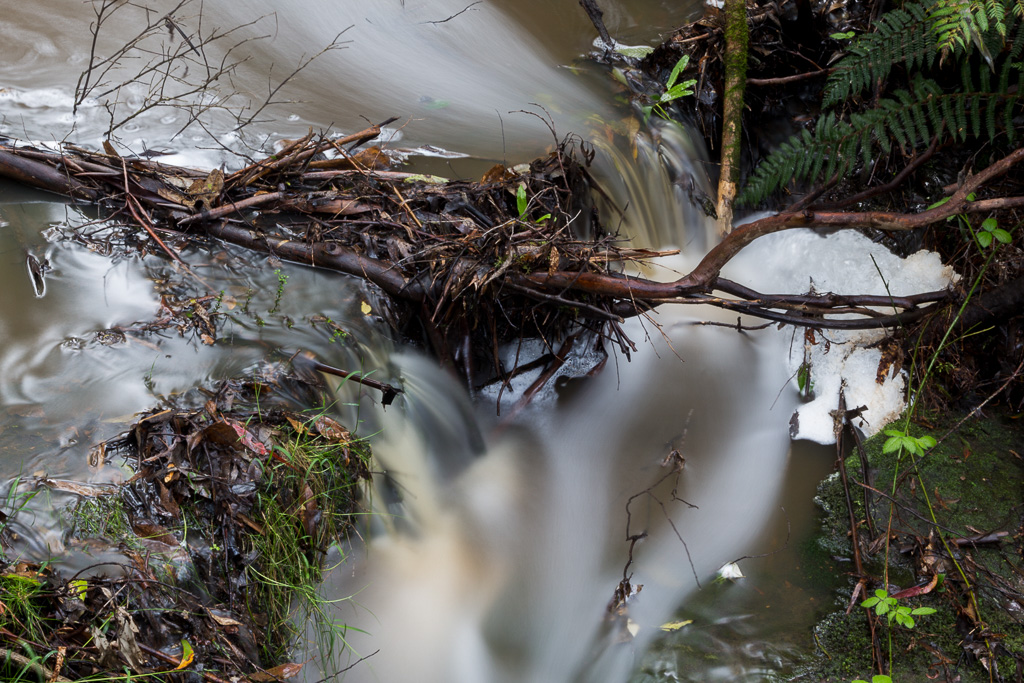 water-over-leaves-sheoak-creek