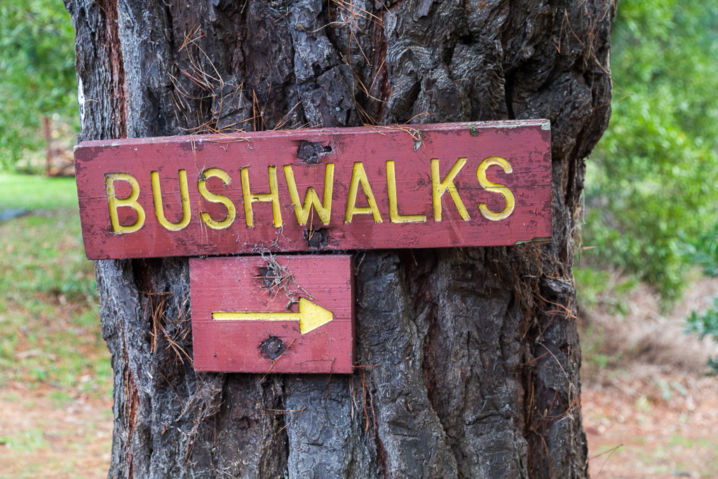 bushwalks-sign