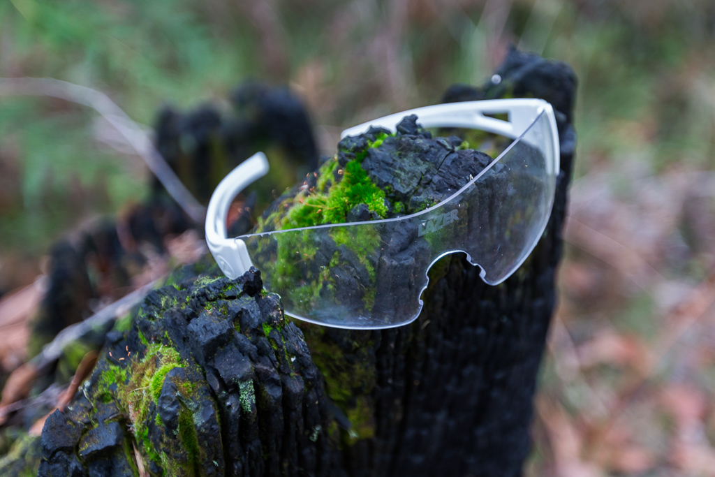 glasses-on-tree-strump