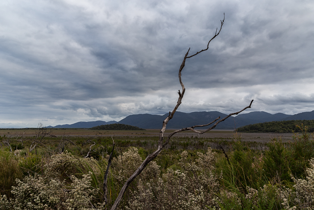 branch-five-mile-road-wilsons-promontory