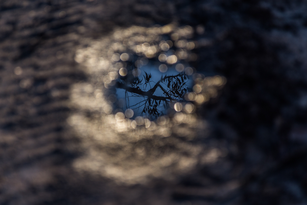 reflections-in-puddle-on-track