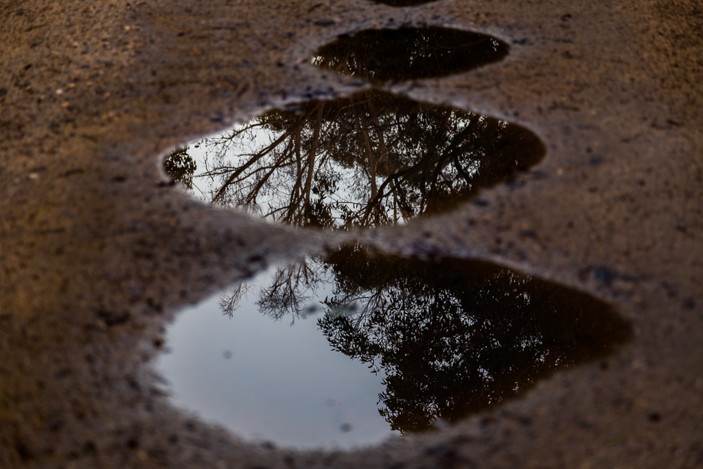reflections-in-puddle