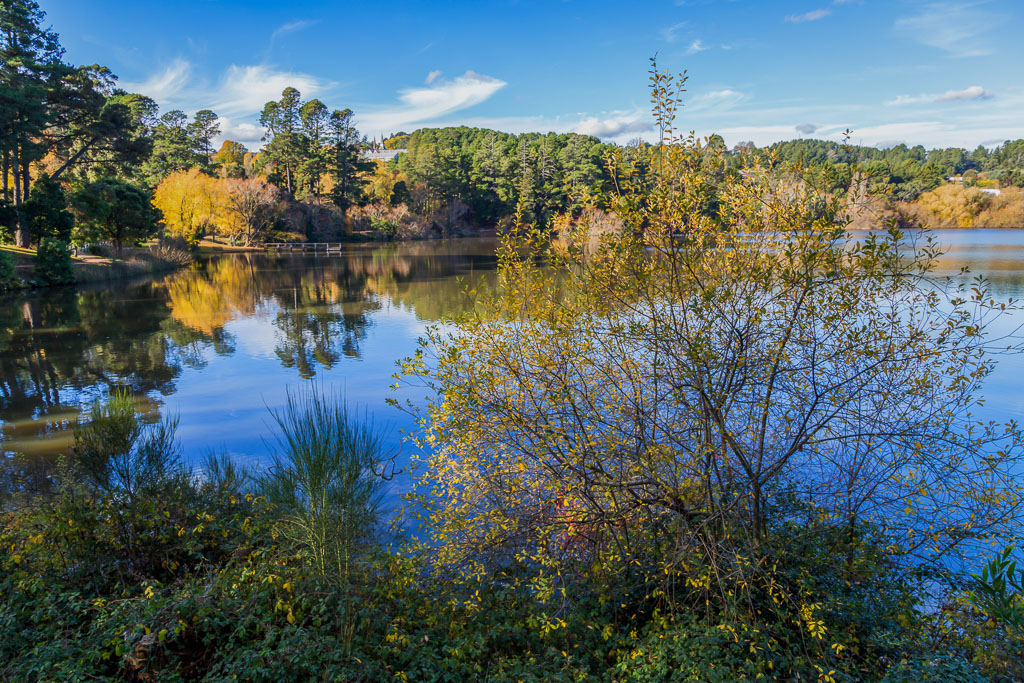 lake-daylesford-autumn