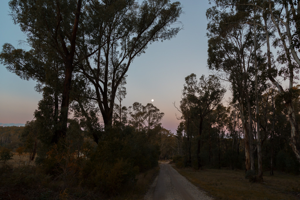 moon-at-sunset-bush-track