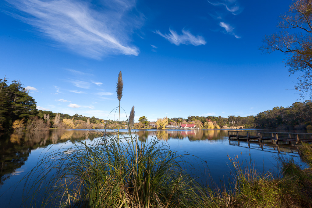 reeds-on-lake-daylesford