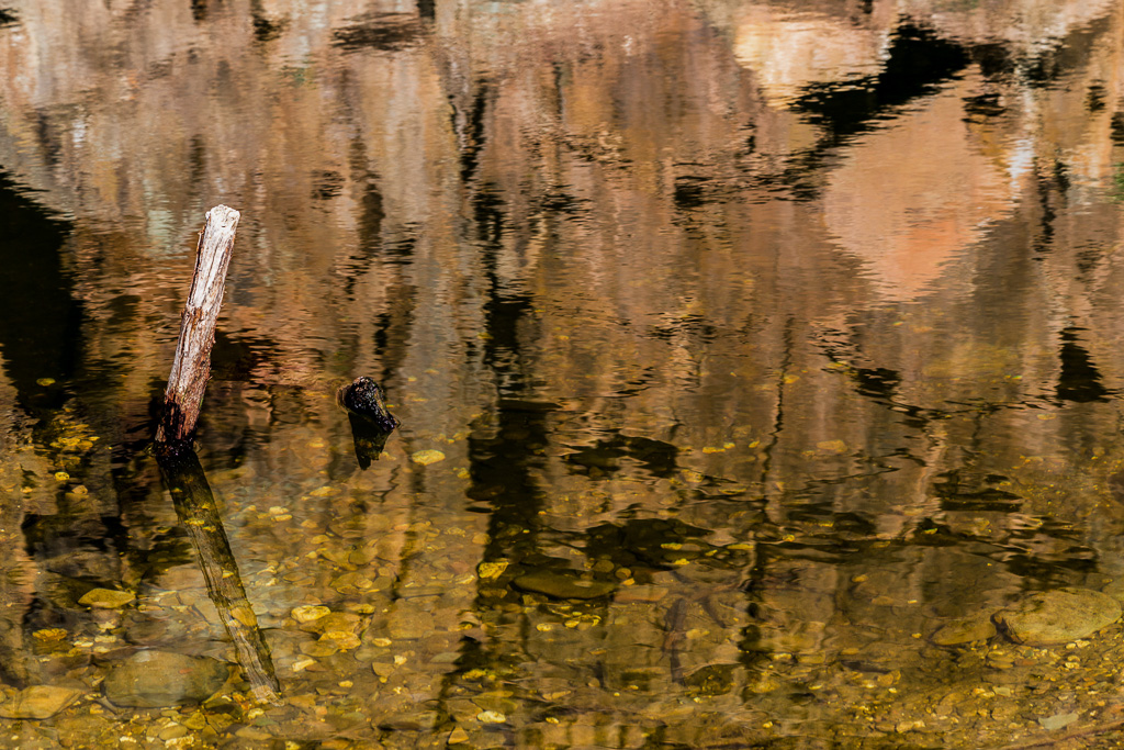 stick-reflection-lerderderg-river