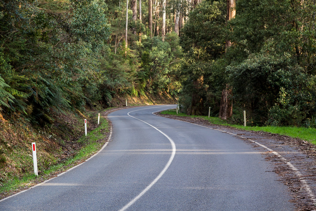 road-mount-donna-buang