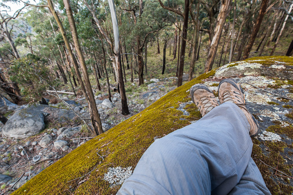 lying-on-rock-cobaw-forest
