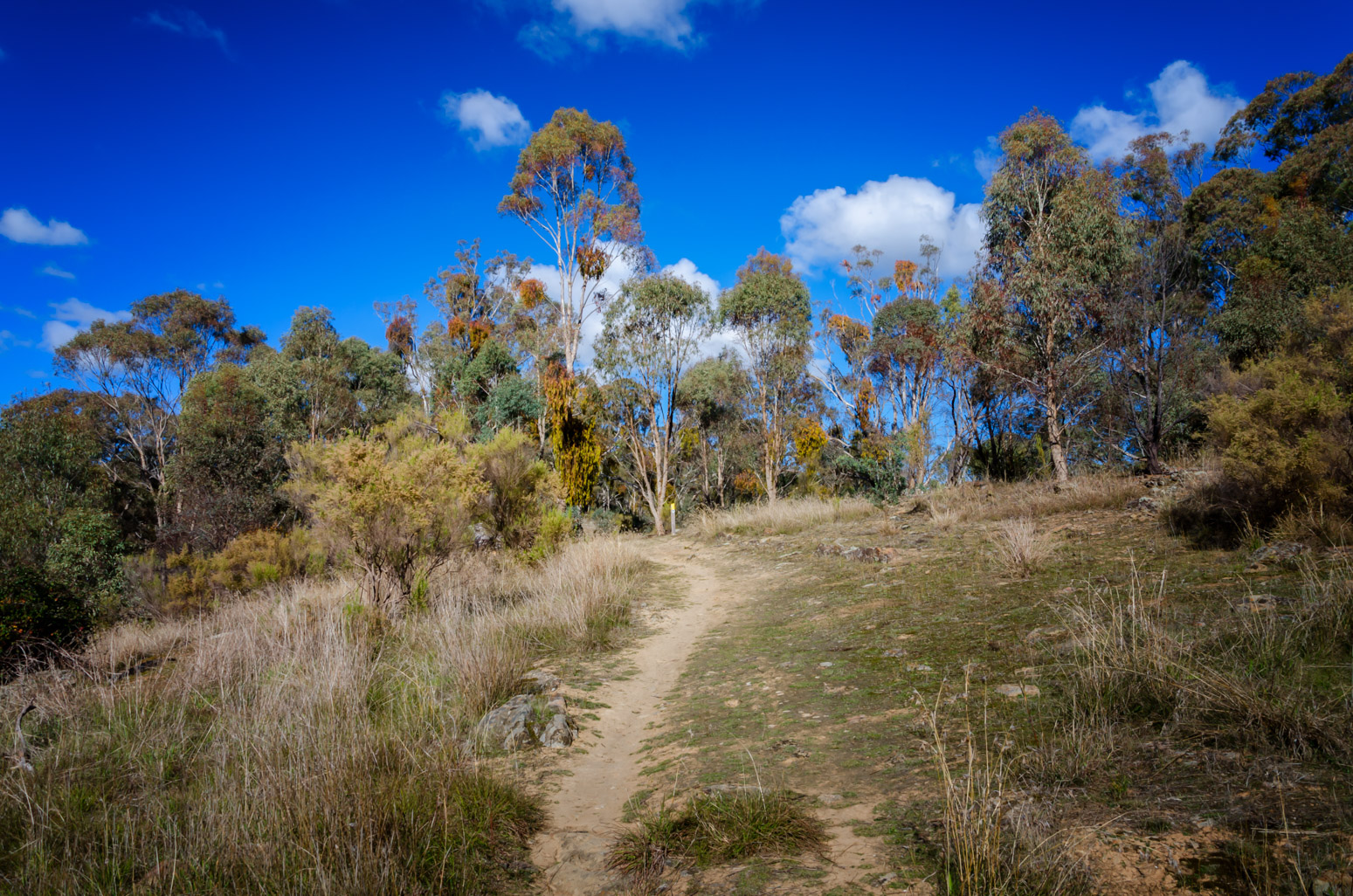 hill-gurr-track-vaughan-goldfields-walk