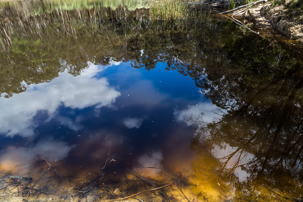 reflections-shaws-lake-blackwood