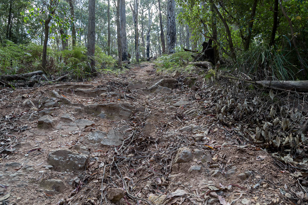steep-eroded-track-wombat-state-forest