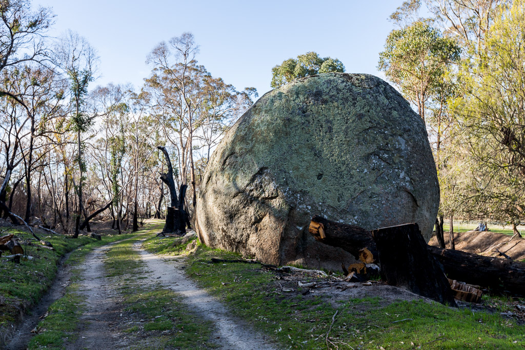 boulders-next-to-circuit-track-black-hill-reserve