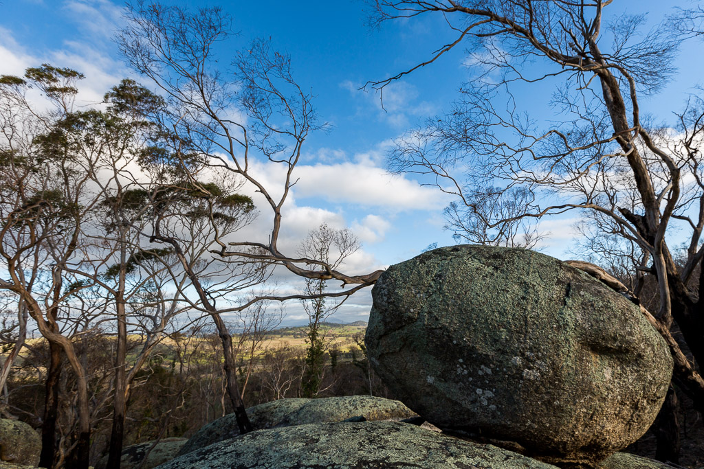boulders-trees-ridge-track-black-hill-reserve