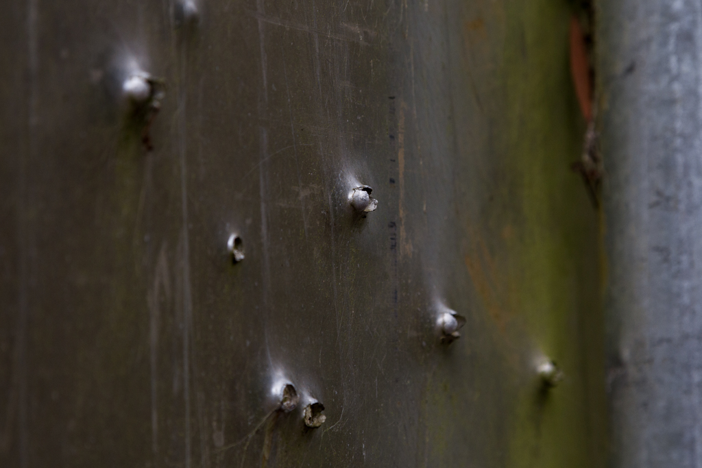 bullet-holes-in-road-sign-wombat-state-forest
