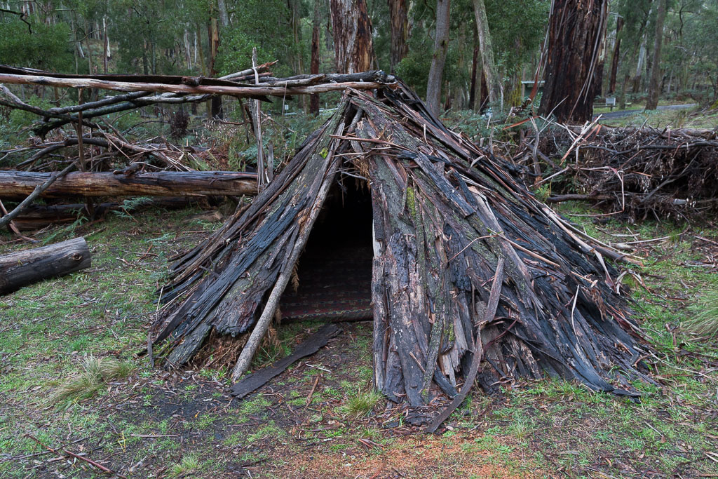 makeshift-shelter-wombat-state-forest