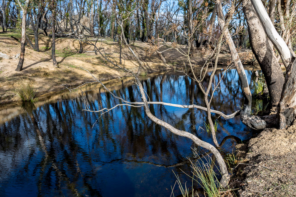 reflections-small-dam-black-hill-reserve
