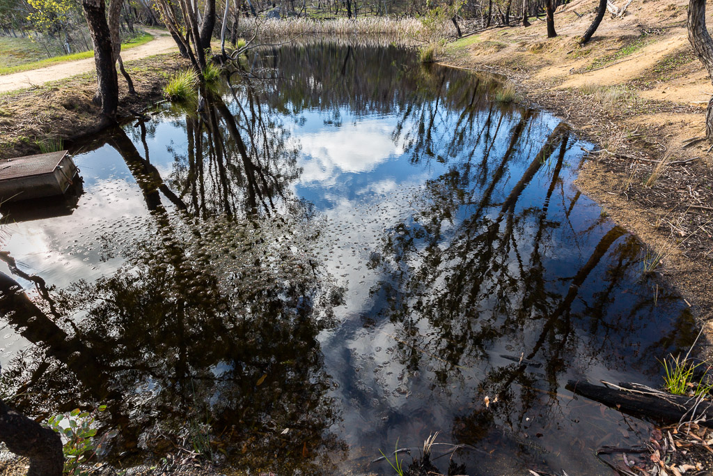 reflections-water-dam-black-hill-reserve
