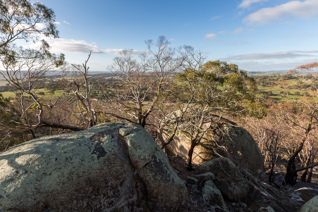 view-eastern-lookout-black-hill-reserve