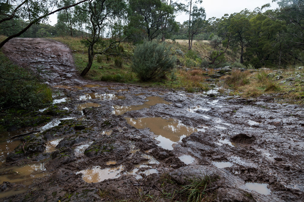water-mud-ford-carrolls-track-wombat-state-forest