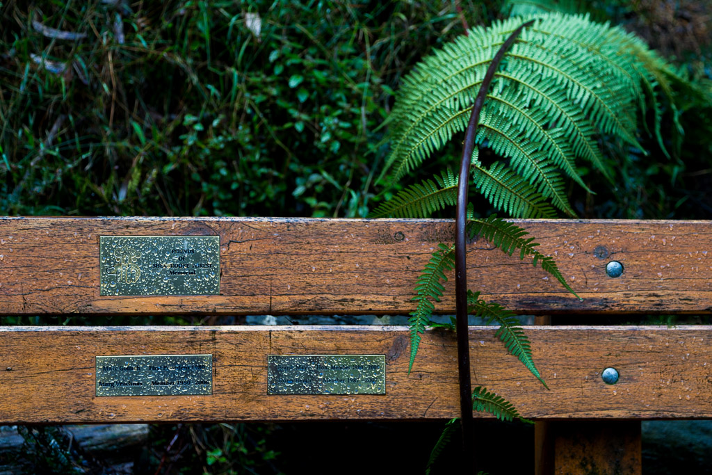 fern-leaf-seat-dandenong-ranges