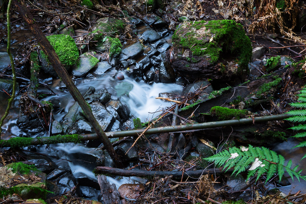water-small-creek-track-olinda